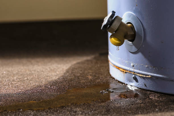 Carpet water damage restoration in OH