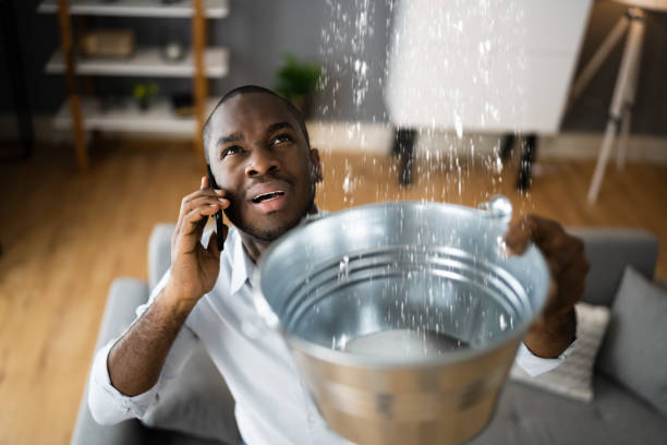Best Water damage cleanup near me  in Madison, OH