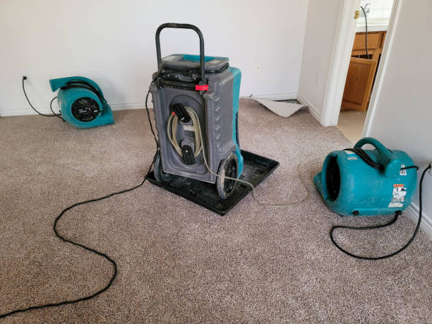 Best Water damage restoration insurance claims  in Madison, OH