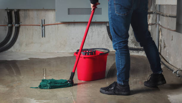 Best Flood restoration services  in Madison, OH