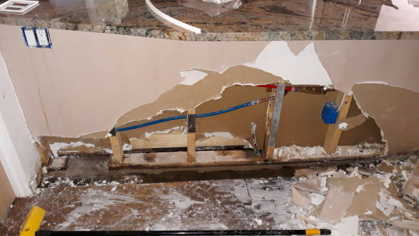Best Carpet water damage restoration  in Madison, OH