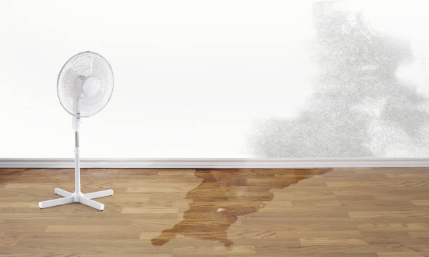 Best Ceiling water damage repair  in Madison, OH