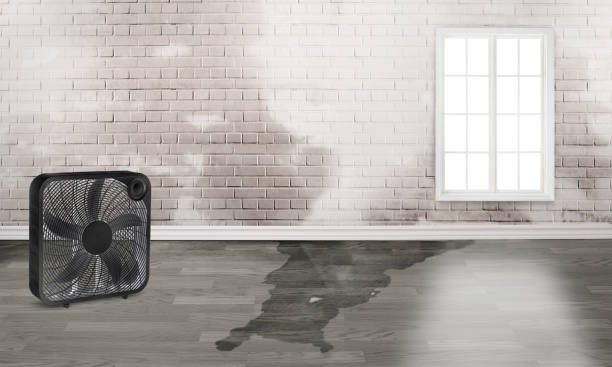  Madison, OH Water damage restoration Pros