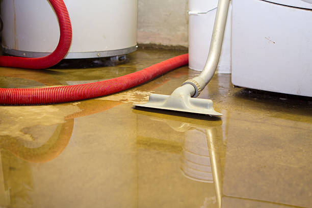 Best Carpet water damage restoration  in Madison, OH