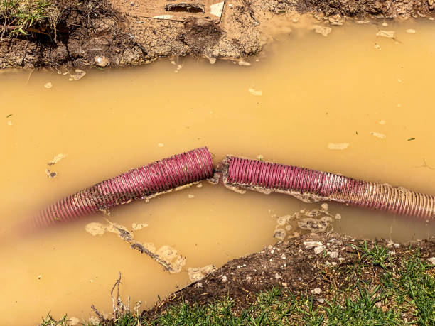 Best Residential water damage restoration  in Madison, OH