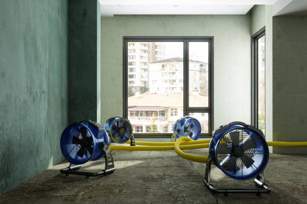 Best Professional water damage repair  in Madison, OH